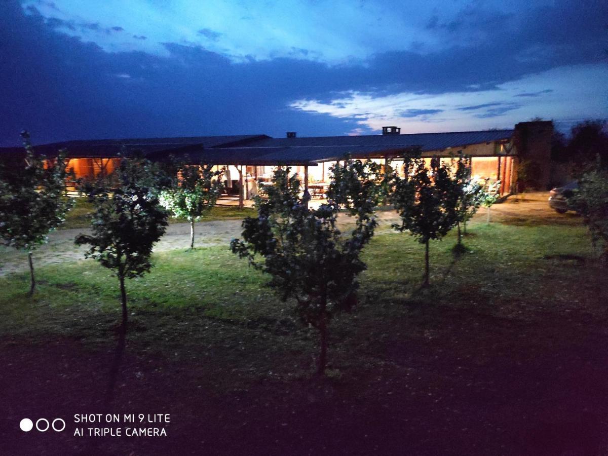 Salas Farma 47-Miris Dunja Cenej Extérieur photo