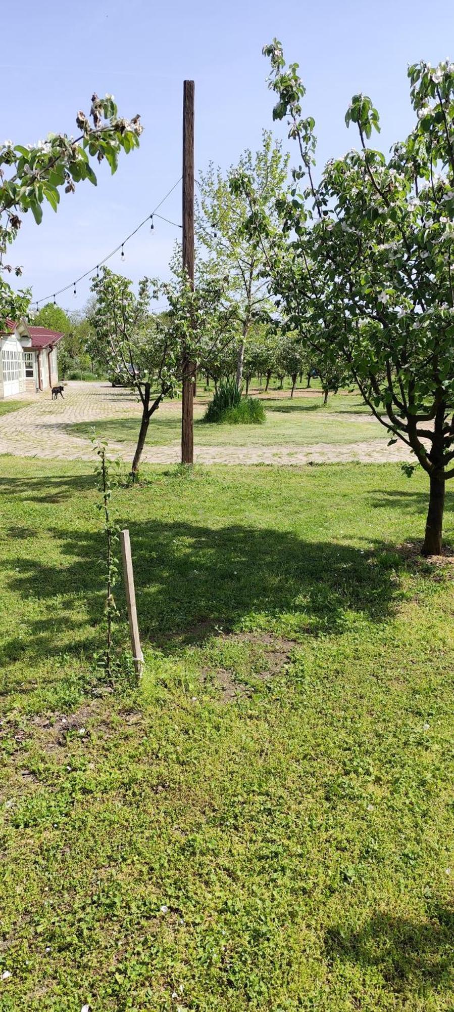 Salas Farma 47-Miris Dunja Cenej Extérieur photo