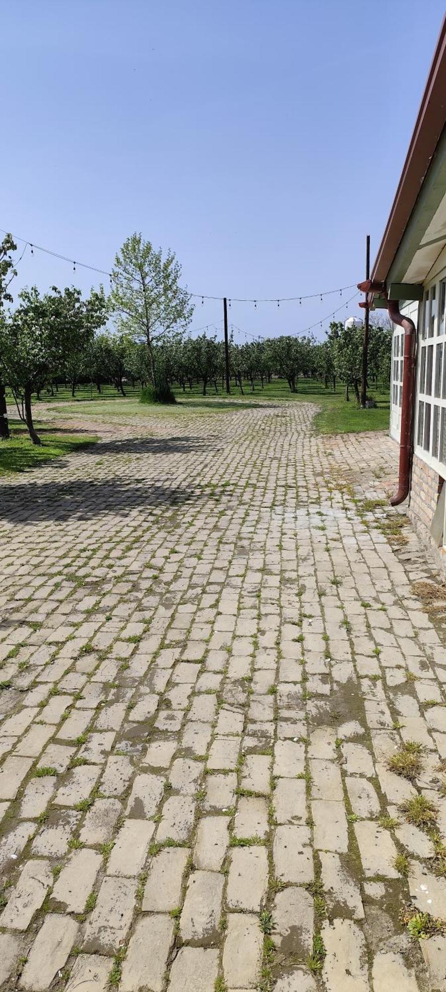 Salas Farma 47-Miris Dunja Cenej Extérieur photo