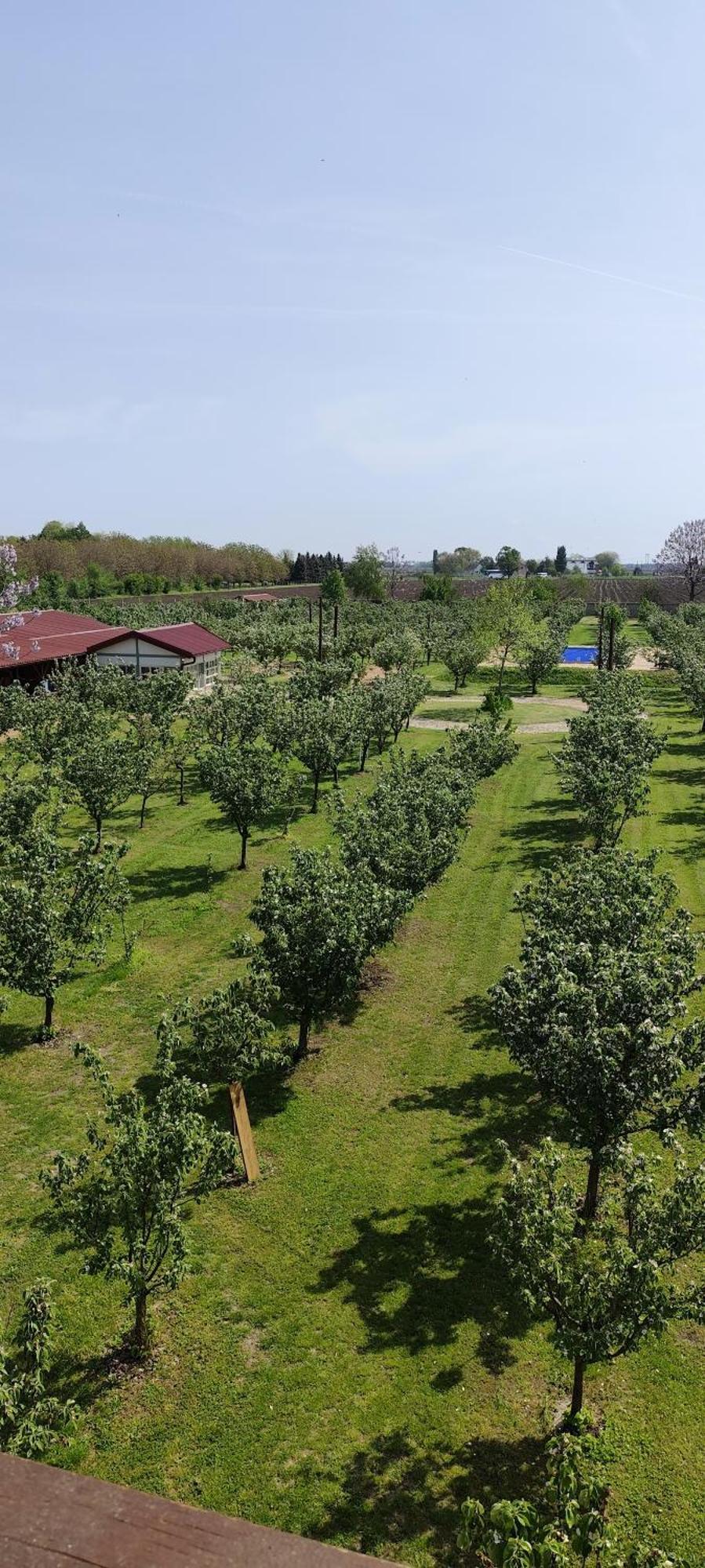 Salas Farma 47-Miris Dunja Cenej Extérieur photo