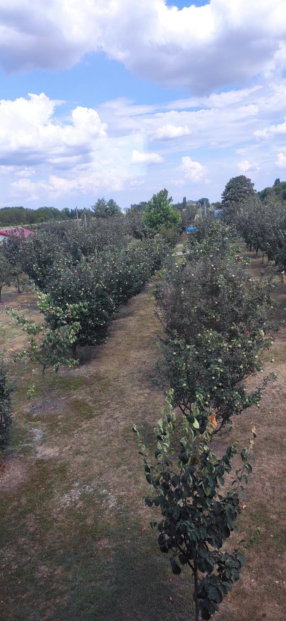 Salas Farma 47-Miris Dunja Cenej Extérieur photo